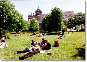 Universität Potsdam